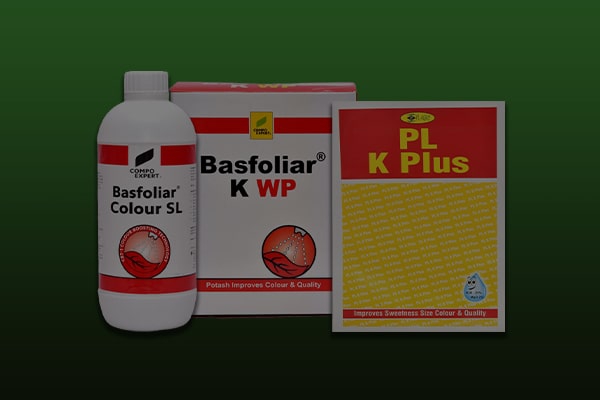 Potassium Rich Fertilizers
